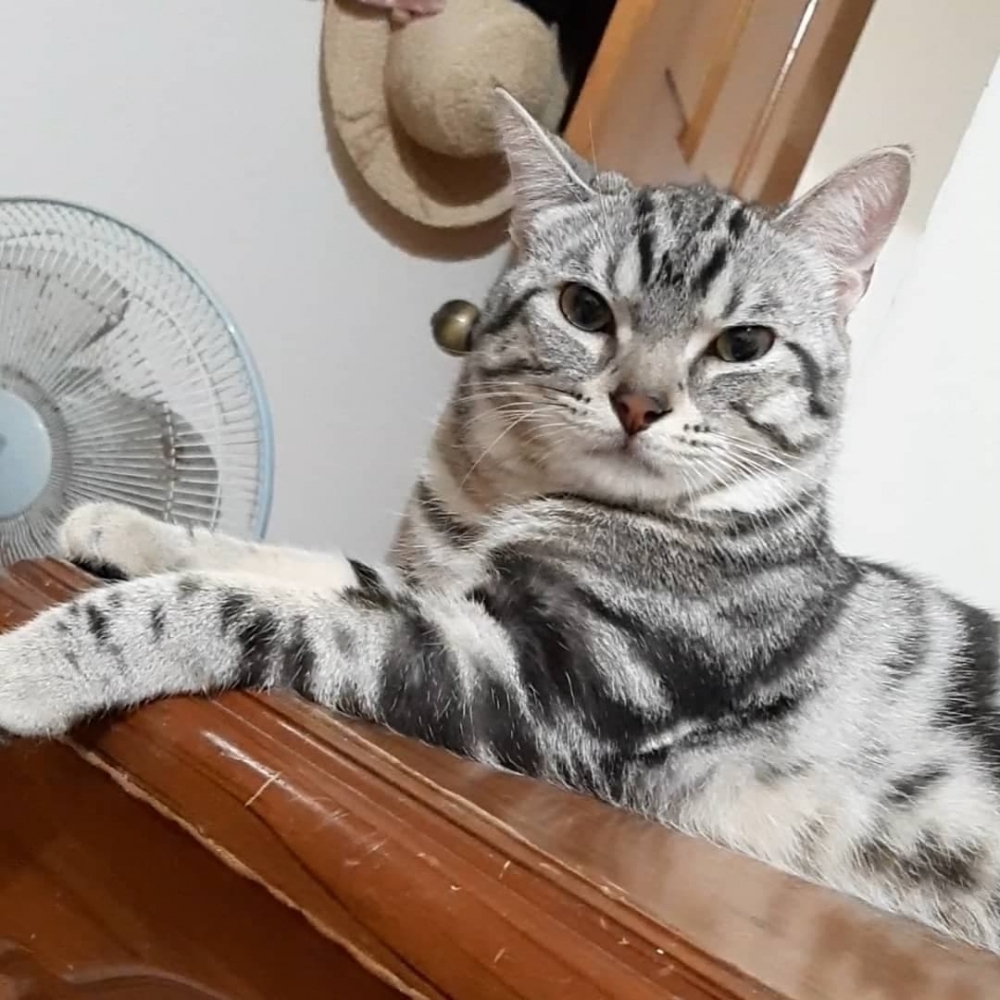 網友簡柳柳提供