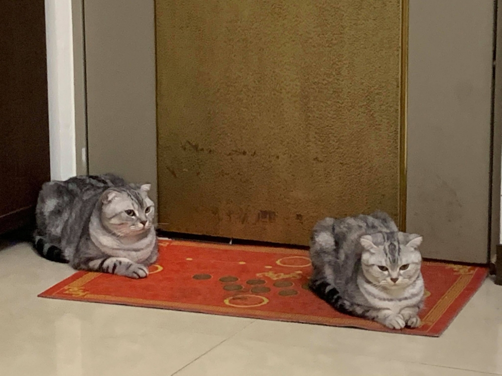 網友劉小惠提供