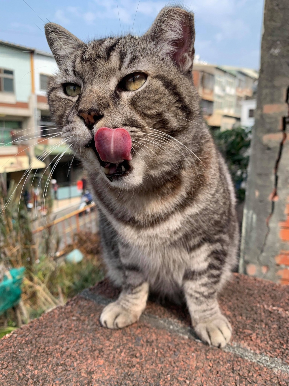 網友林佳欣小姐提供