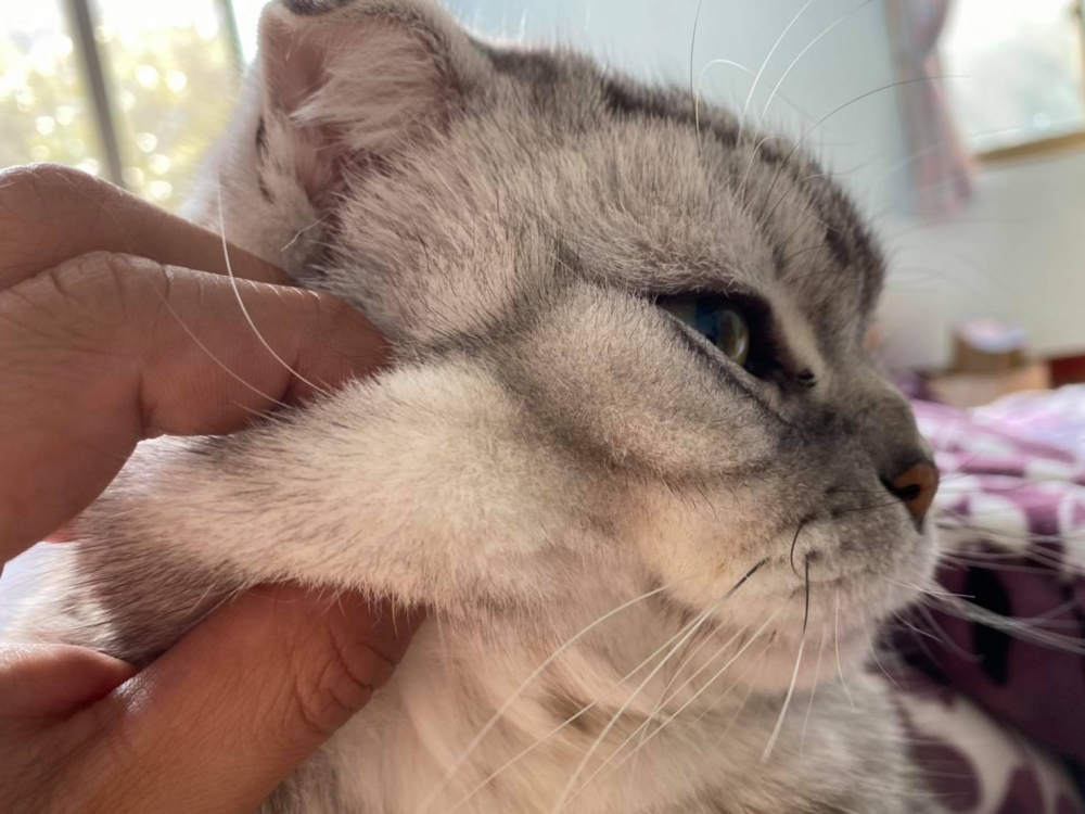 網友賴泰霖先生提供