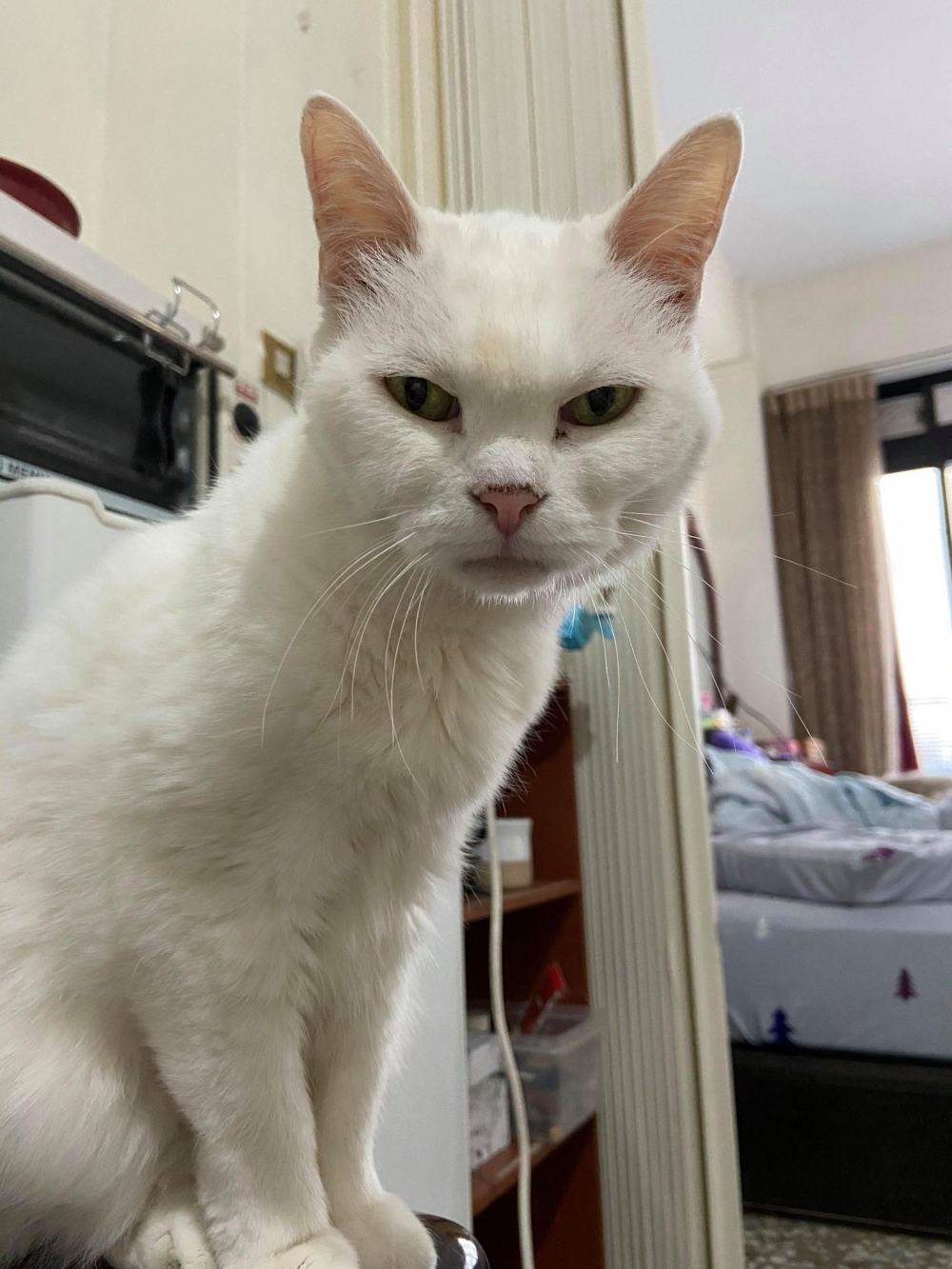 網友Mini Emilyn提供