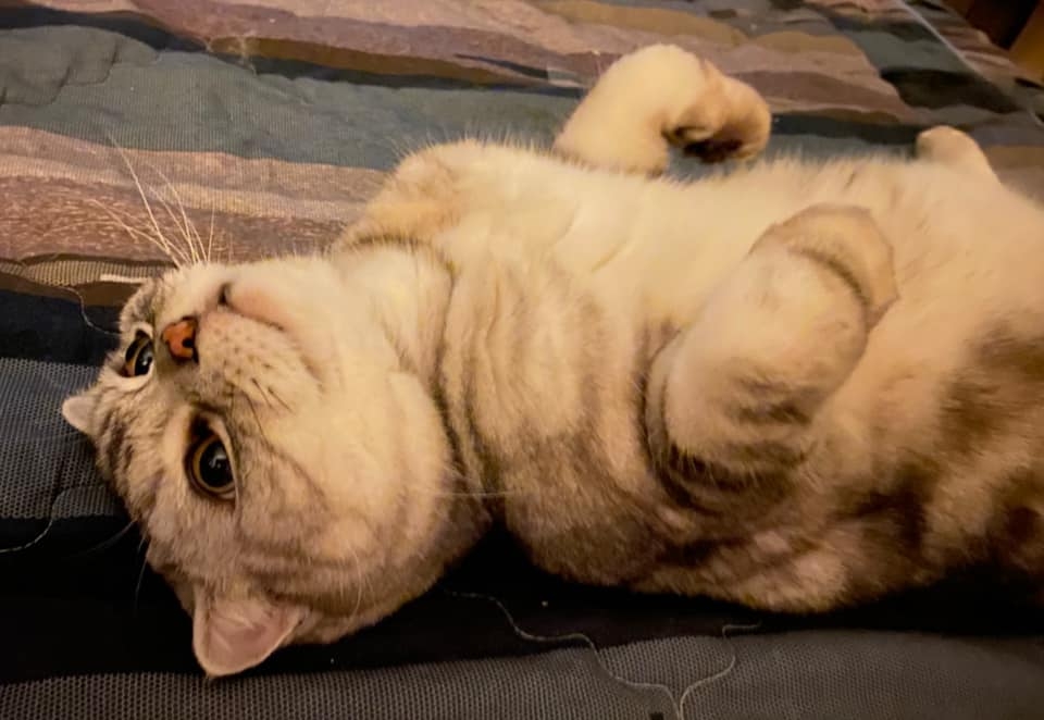 網友賴泰霖先生提供