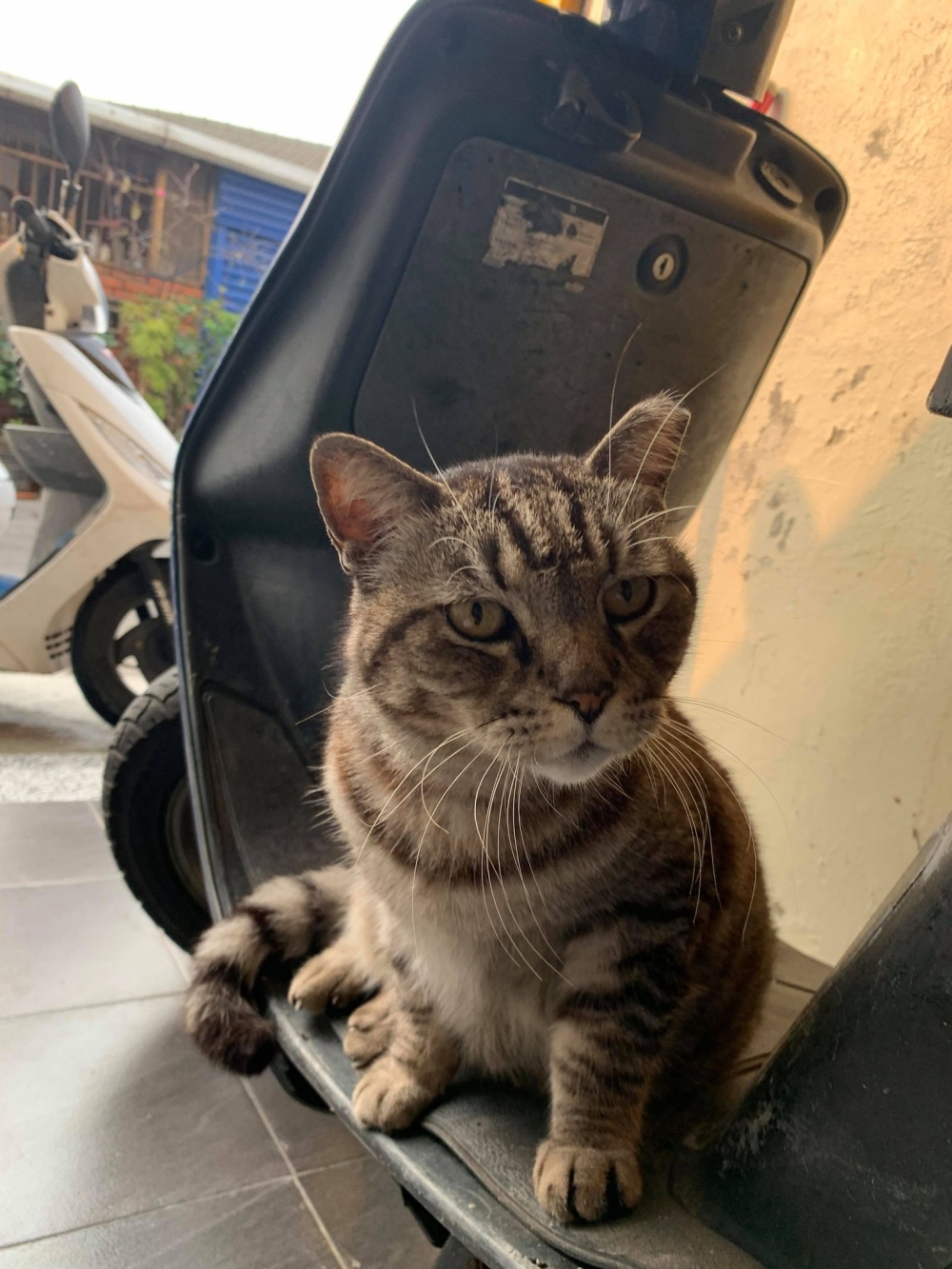 網友林佳欣小姐提供