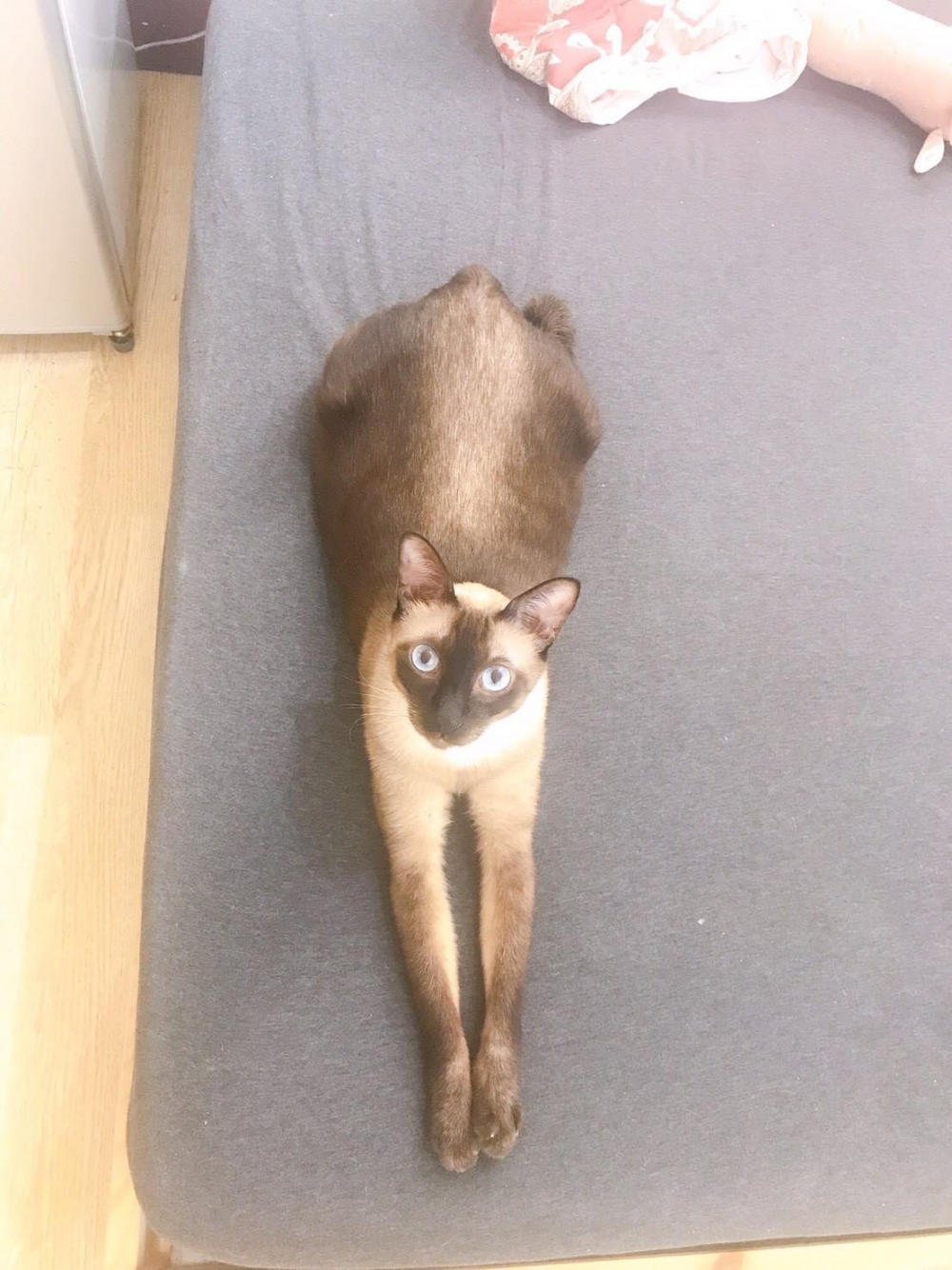 網友Juliann Chen提供