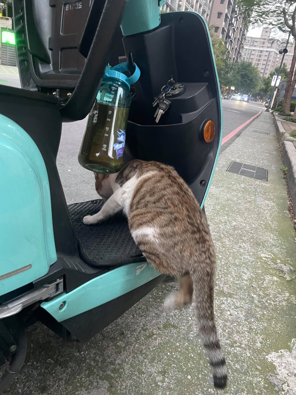 Ig mn92305250 授權使用