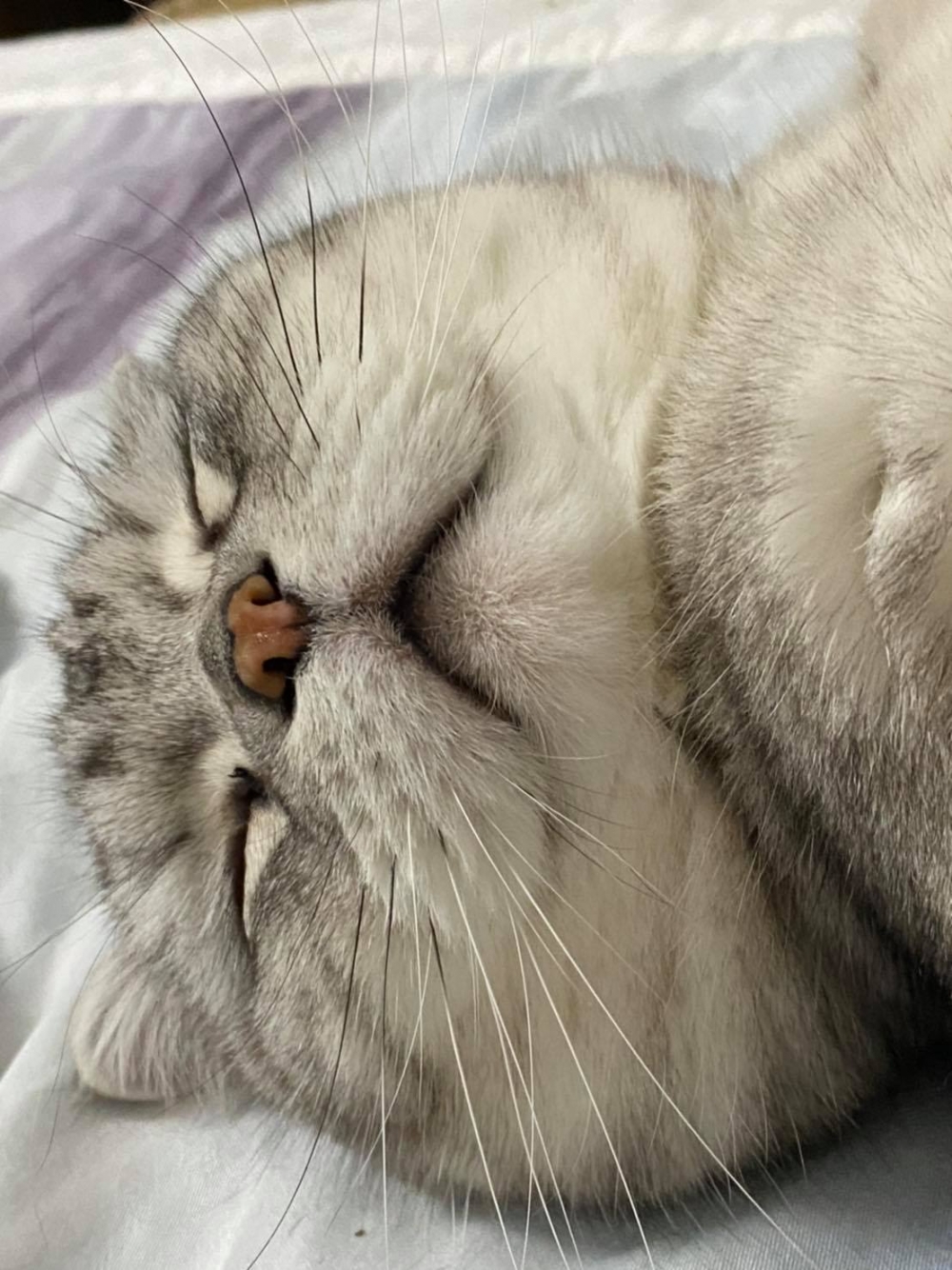 網友賴泰霖先生提供