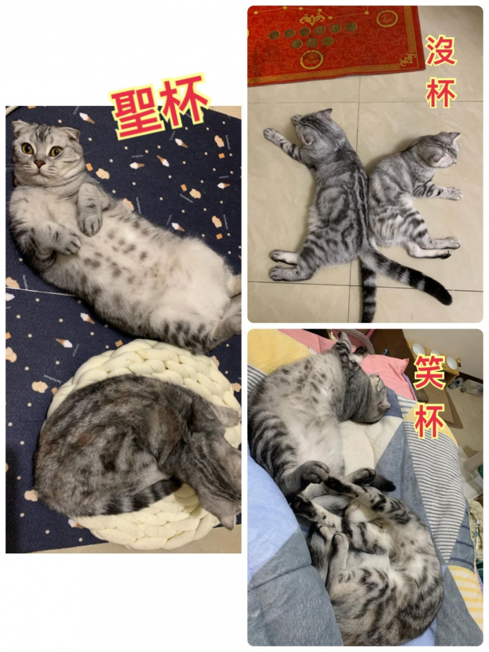 網友劉小惠提供