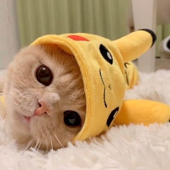 Pinterest