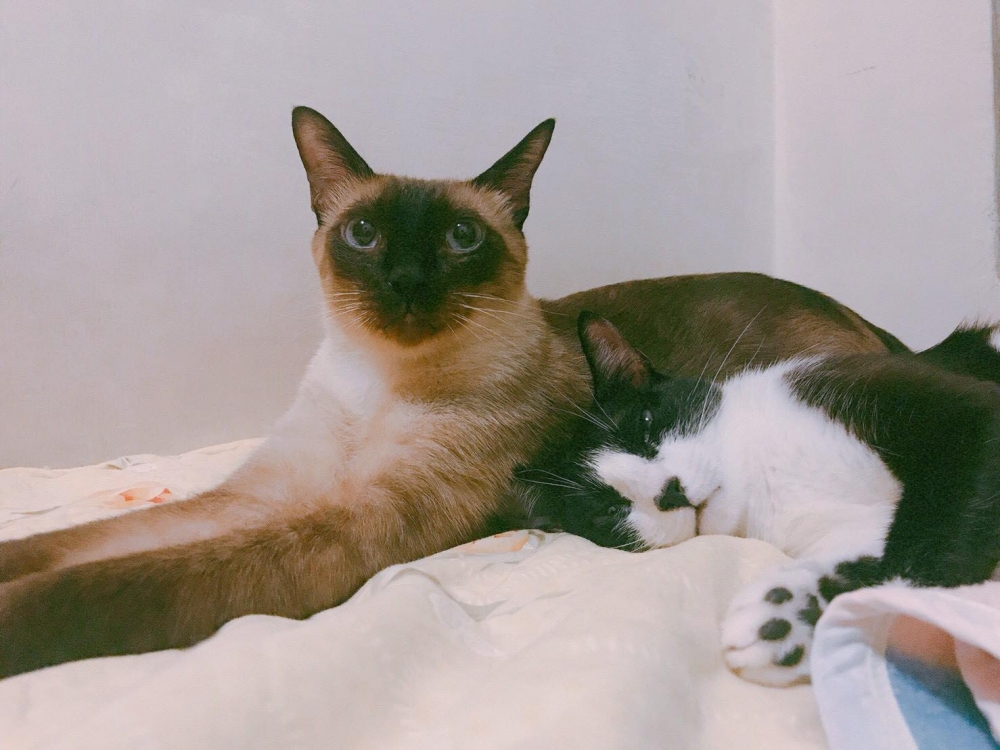 網友Juliann Chen提供