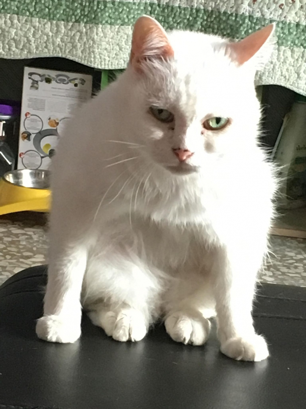 網友Mini Emilyn提供