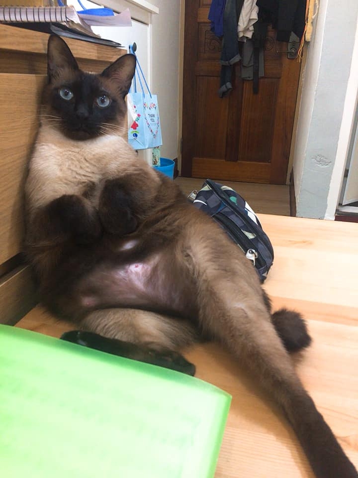 網友Juliann Chen提供