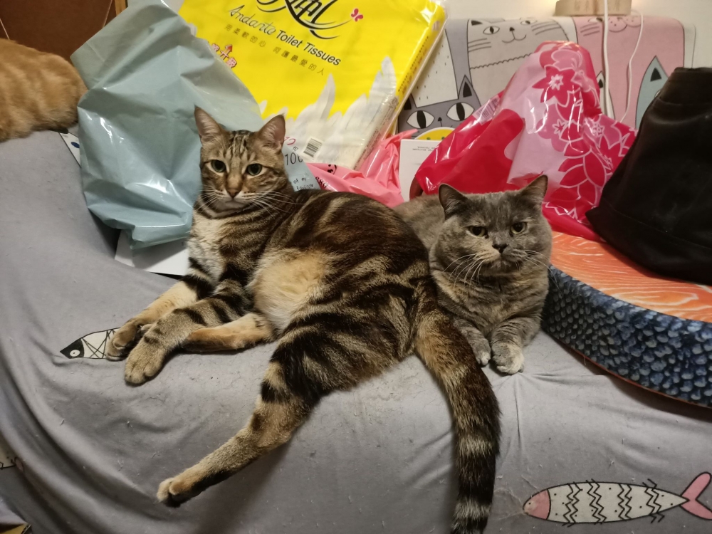 網友詹燿駿先生提供