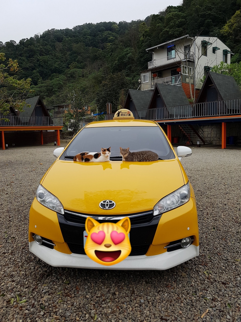 網友彭先生提供