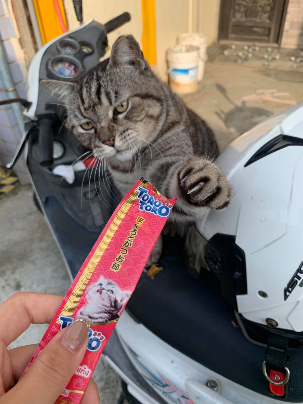 網友林佳欣小姐提供