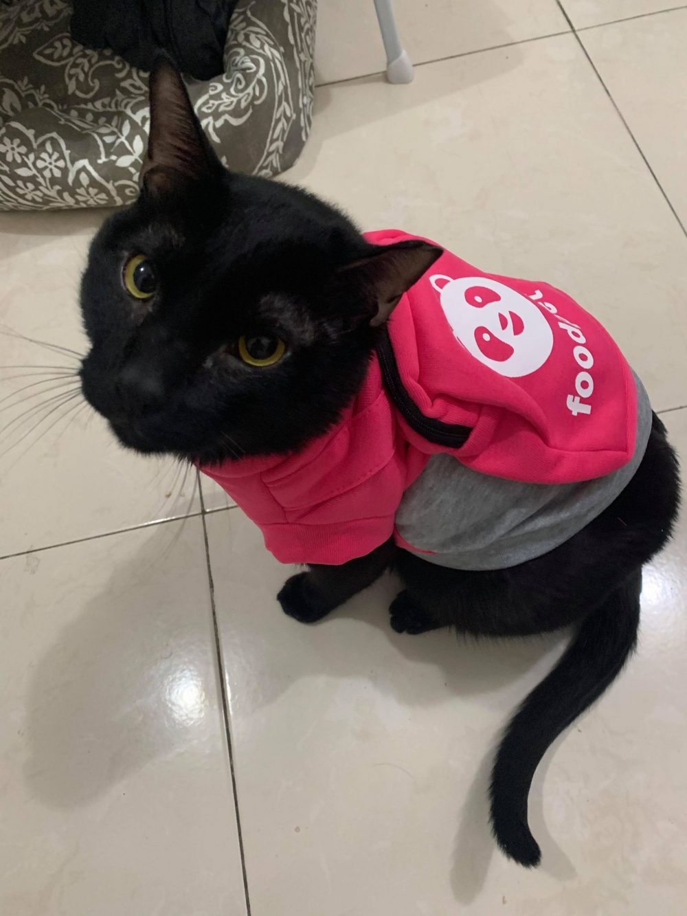 網友Hazel Yang提供