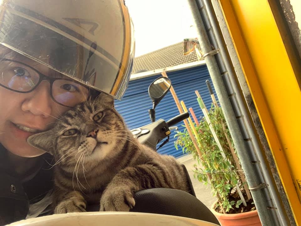 網友林佳欣小姐提供