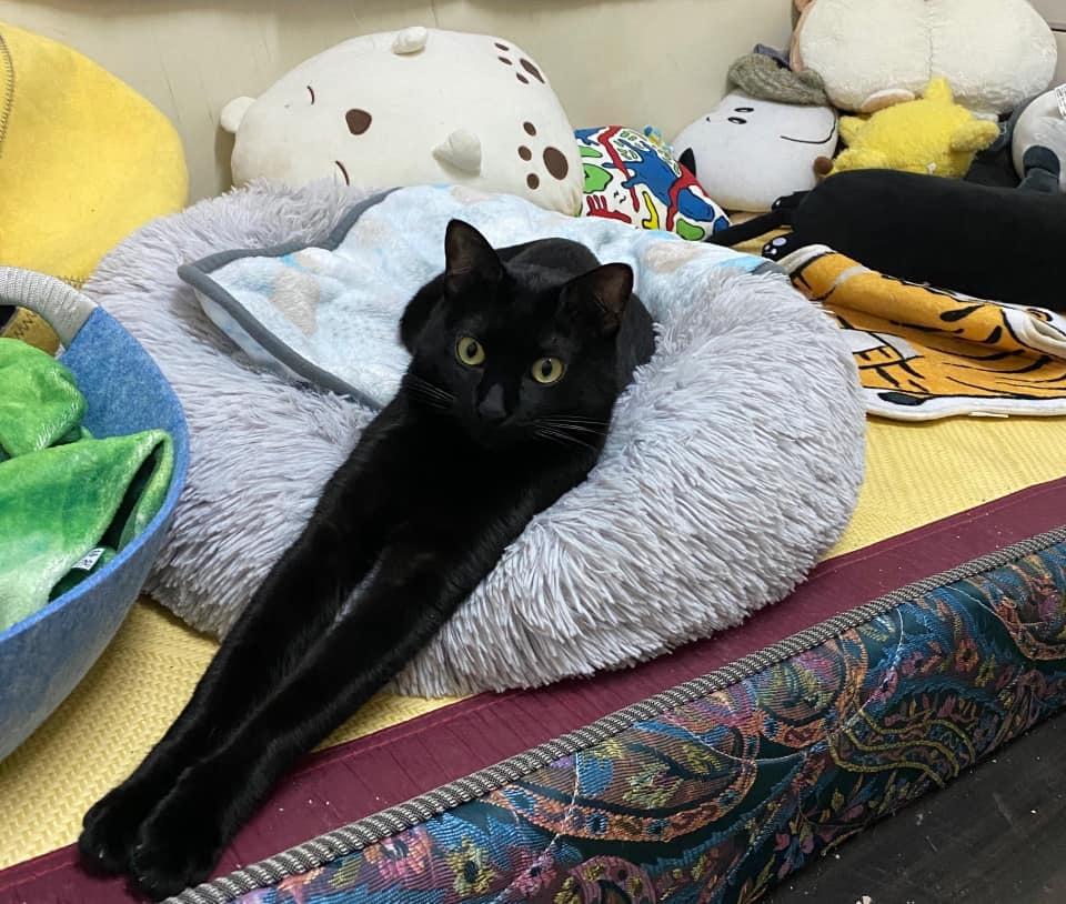 網友林尚瑩小姐提供