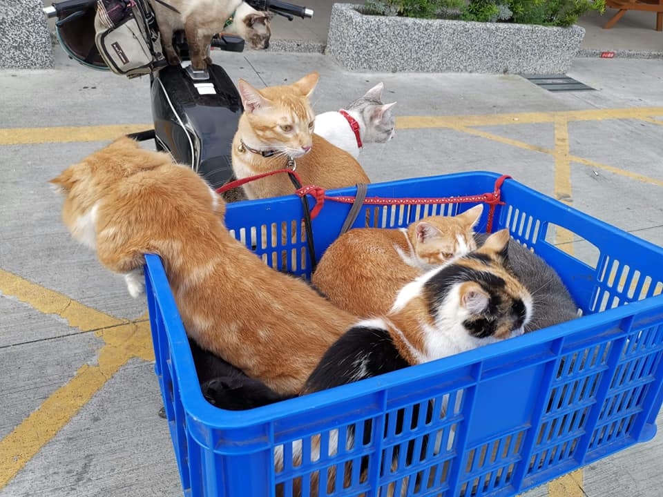 網友張志華先生提供