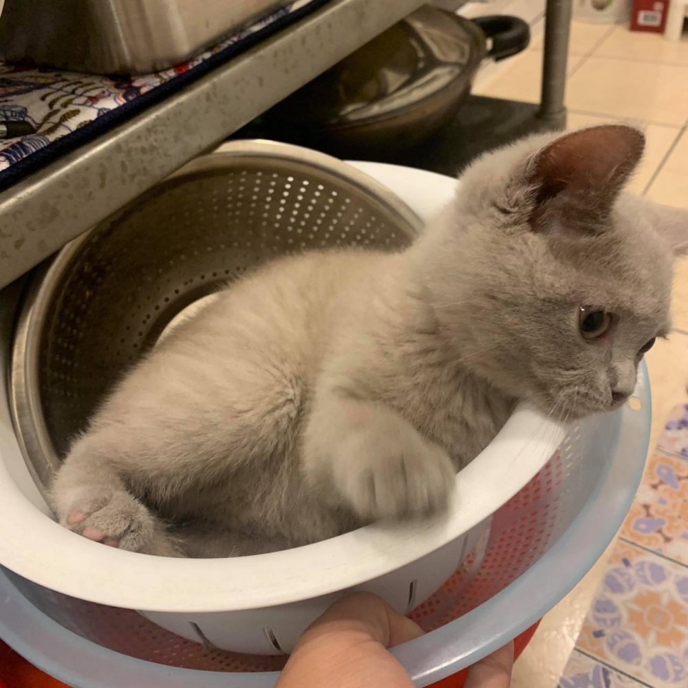 IG @diam0nd112