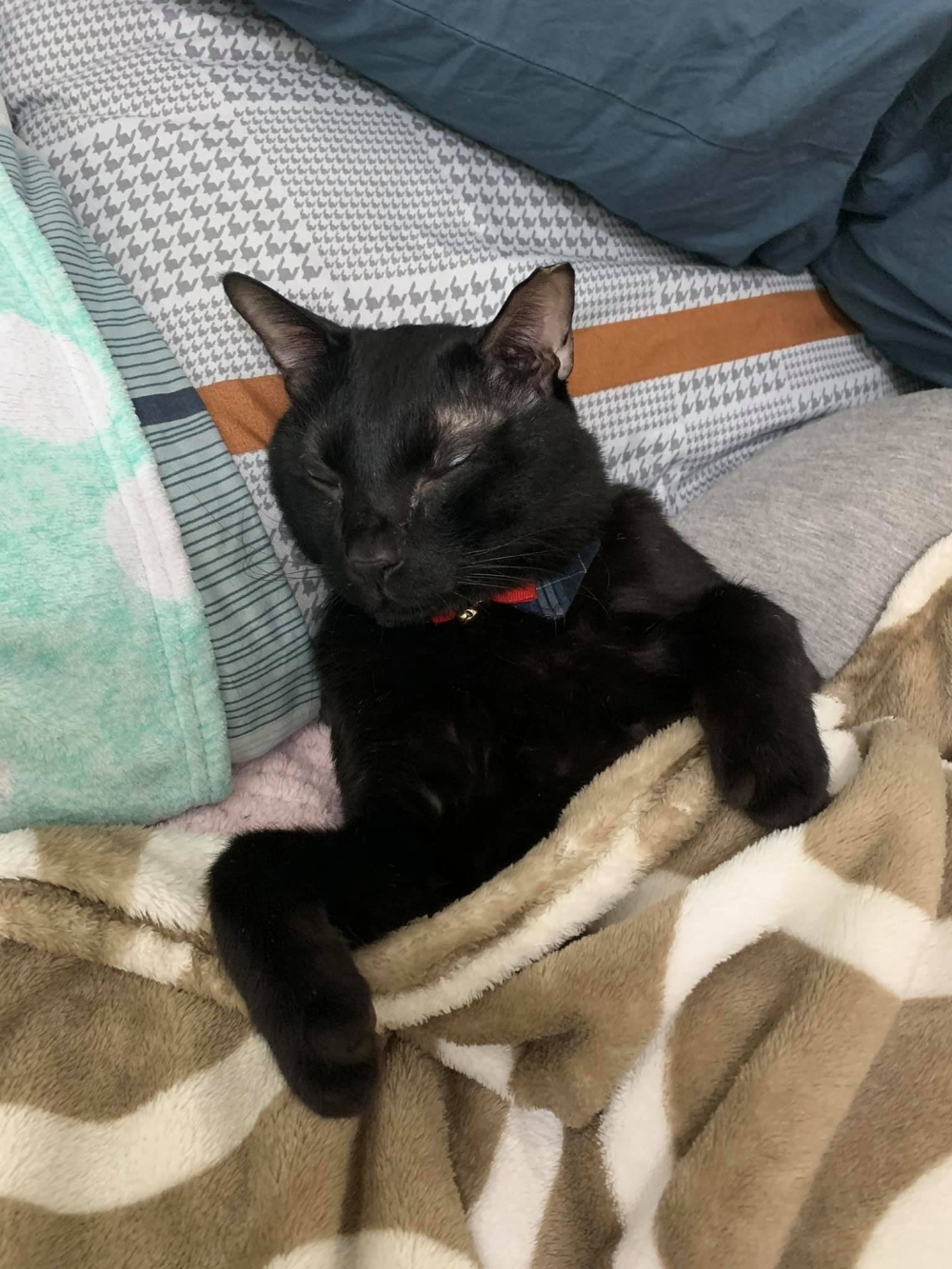 網友Hazel Yang提供