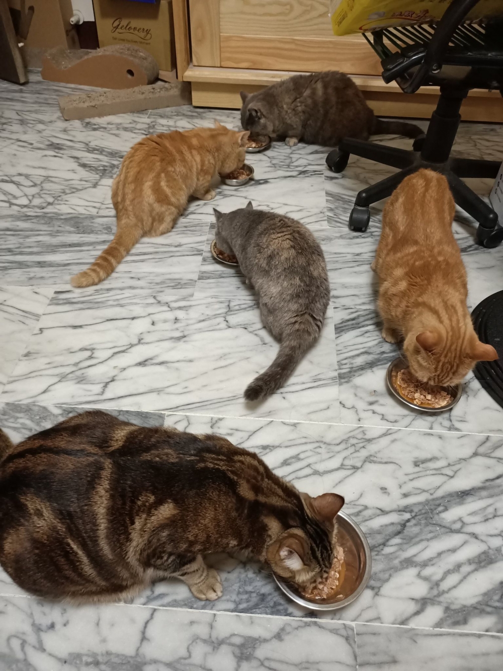 網友詹燿駿先生提供