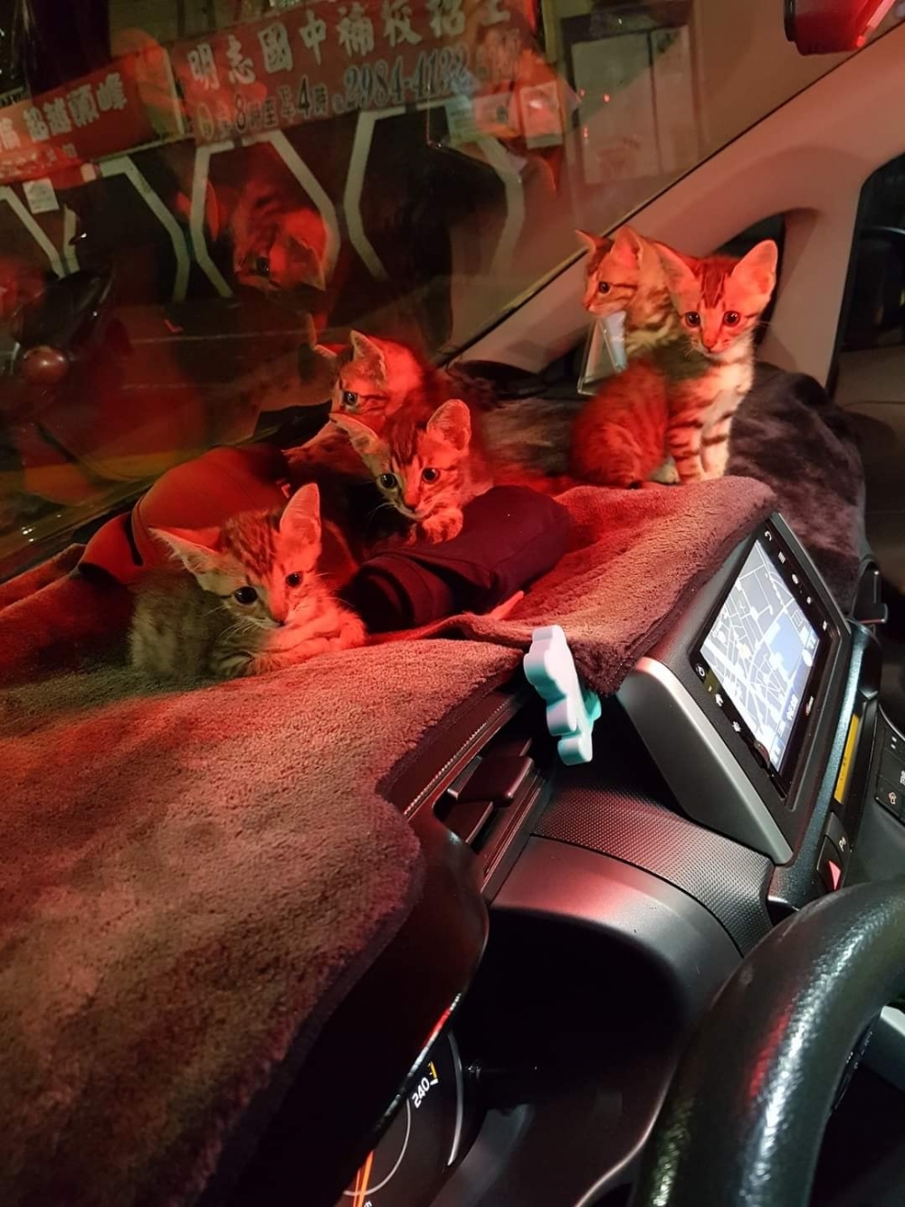 網友彭先生提供