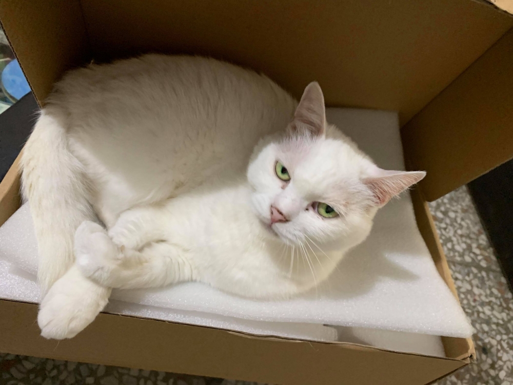 網友Mini Emilyn提供