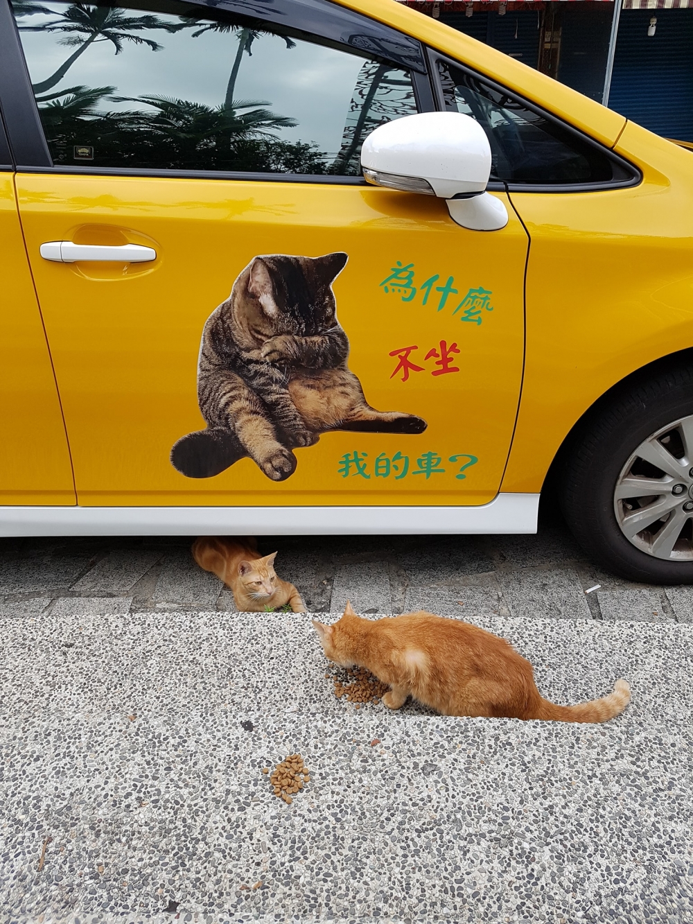 網友彭先生提供