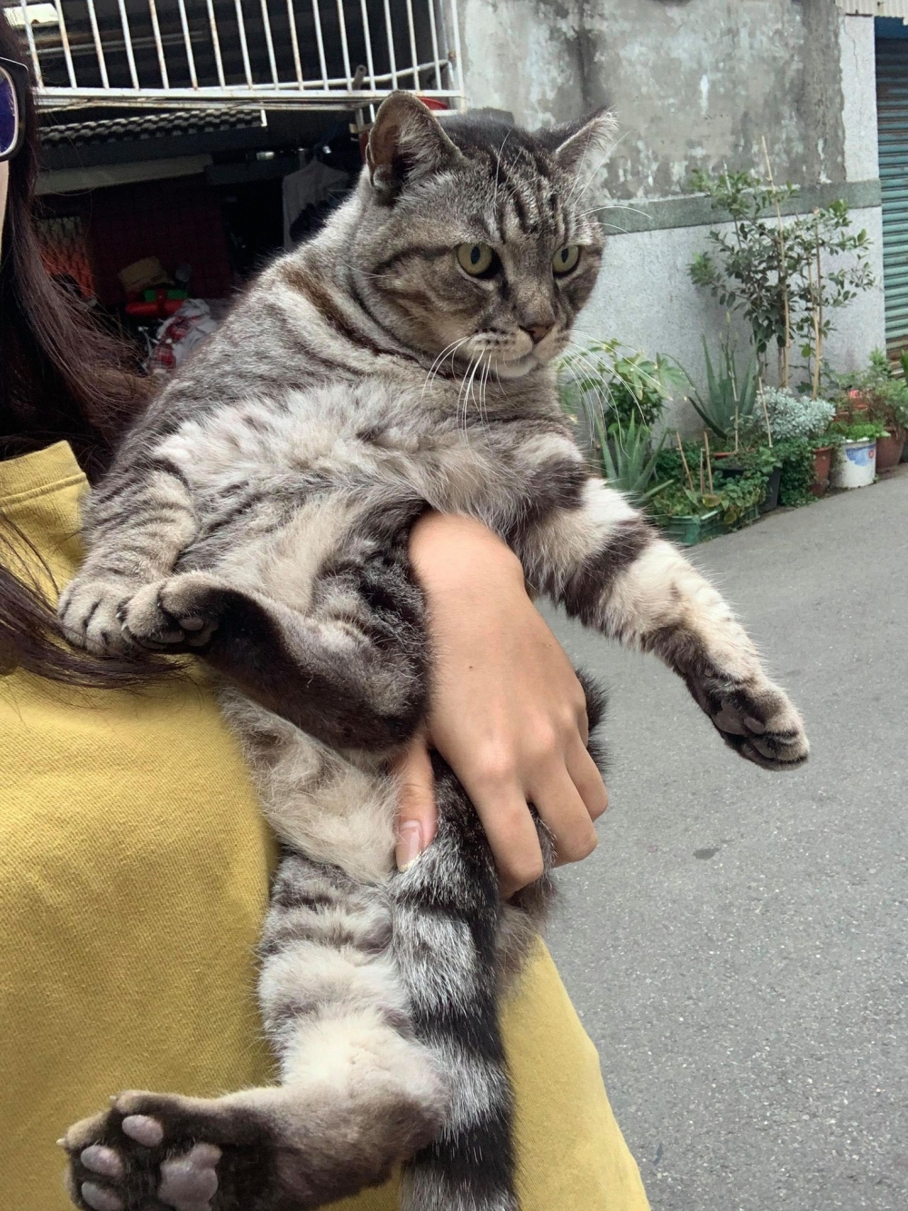 網友林佳欣小姐提供