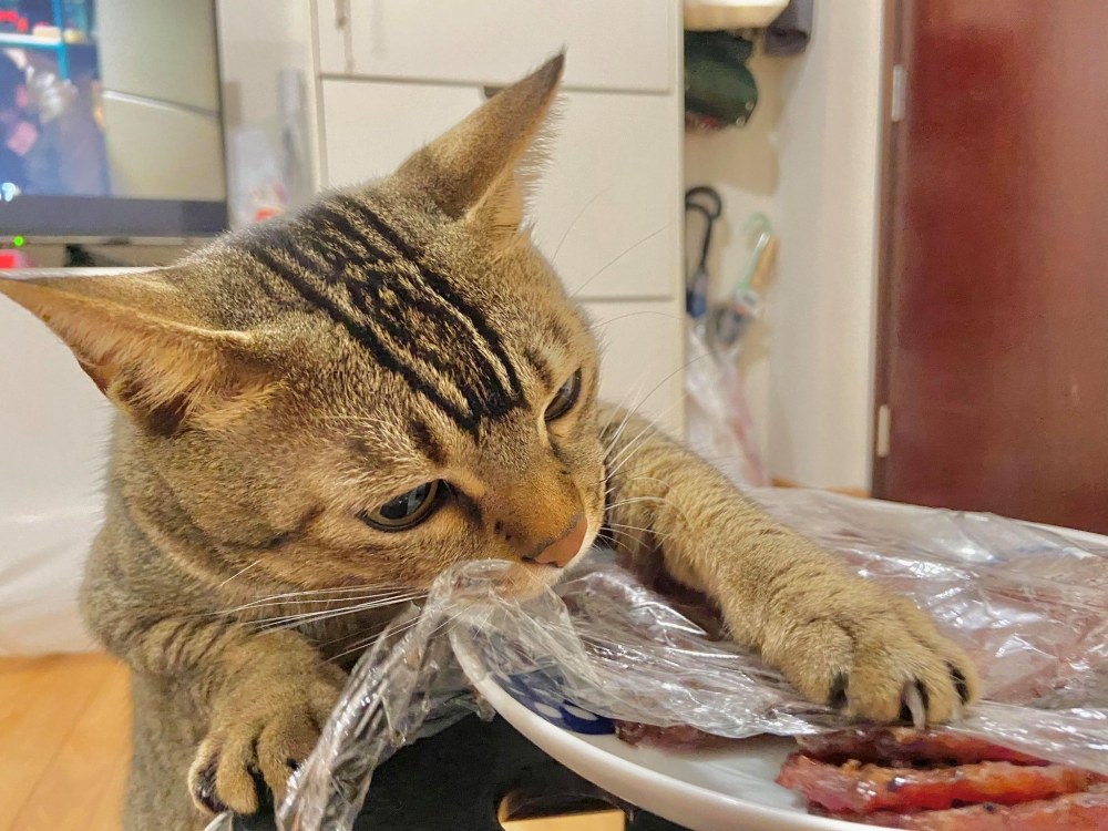 網友Calbee Li提供