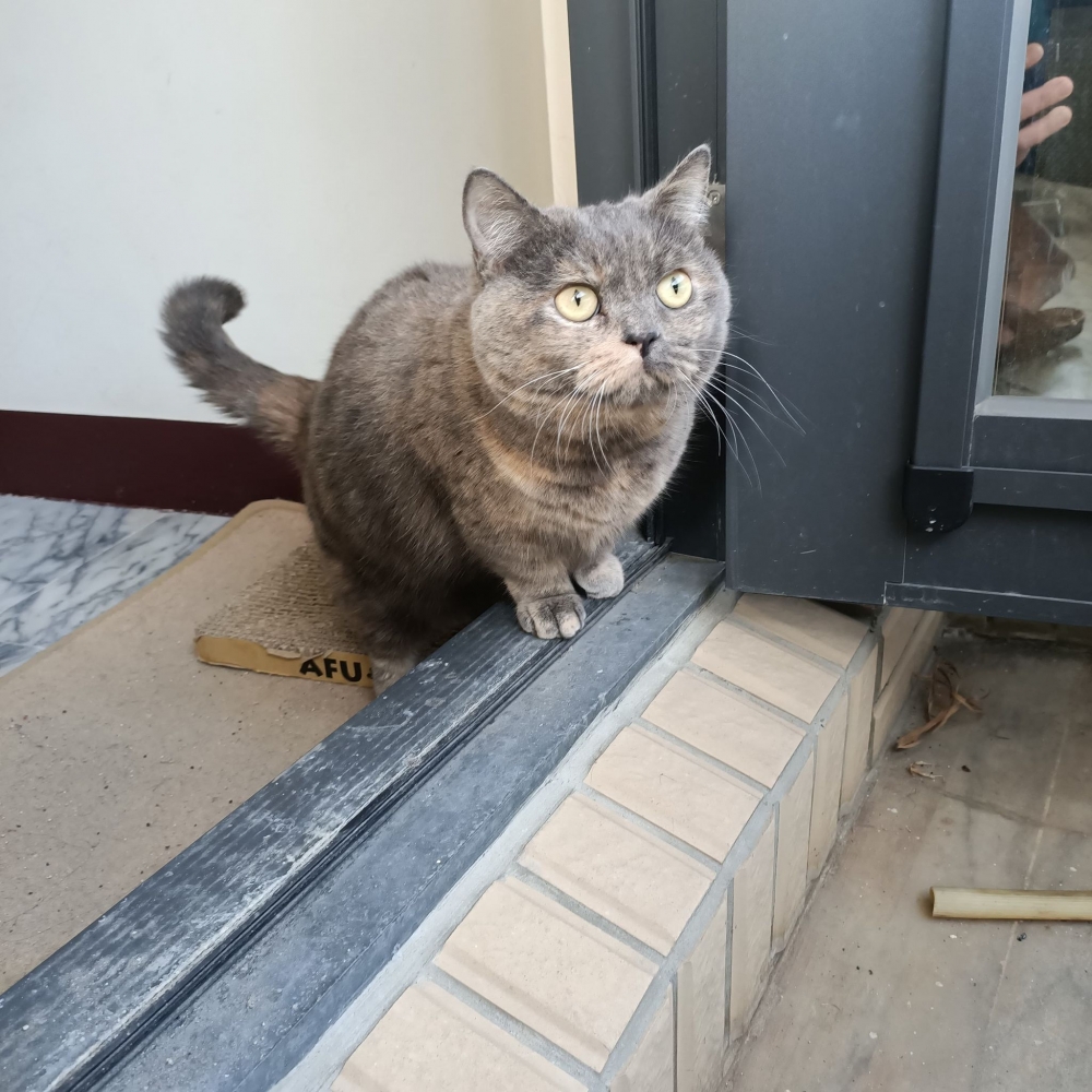 網友詹燿駿先生提供