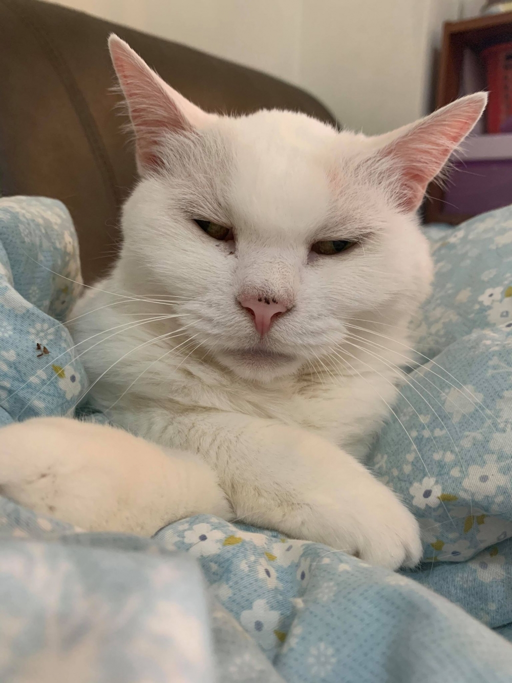 網友Mini Emilyn提供