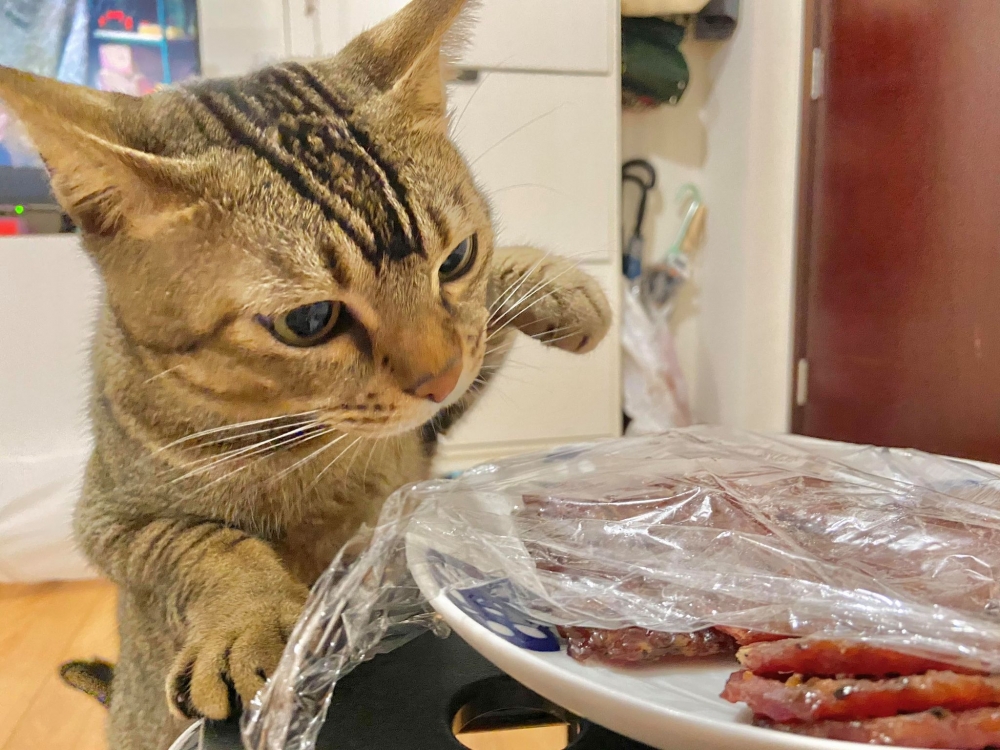 網友Calbee Li提供