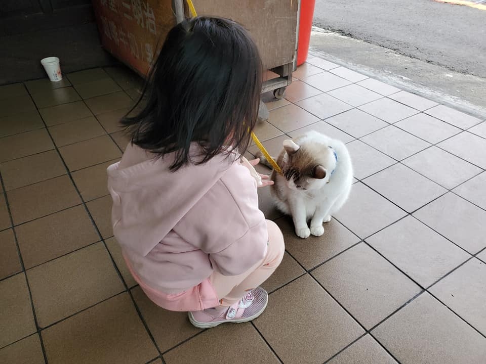 網友鍾宏玠先生提供