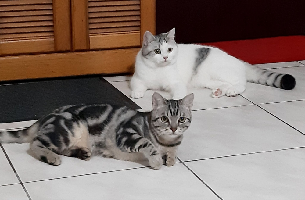 網友簡柳柳提供