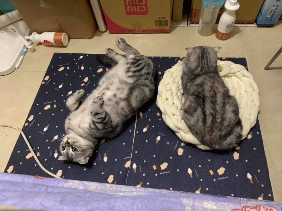 網友劉小惠提供