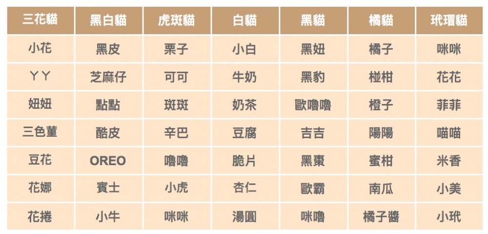 螢幕快照 2021-04-08 下午4.32.29