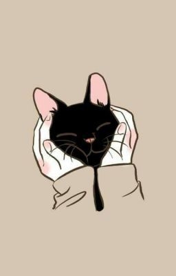 貓桌布,手機桌布