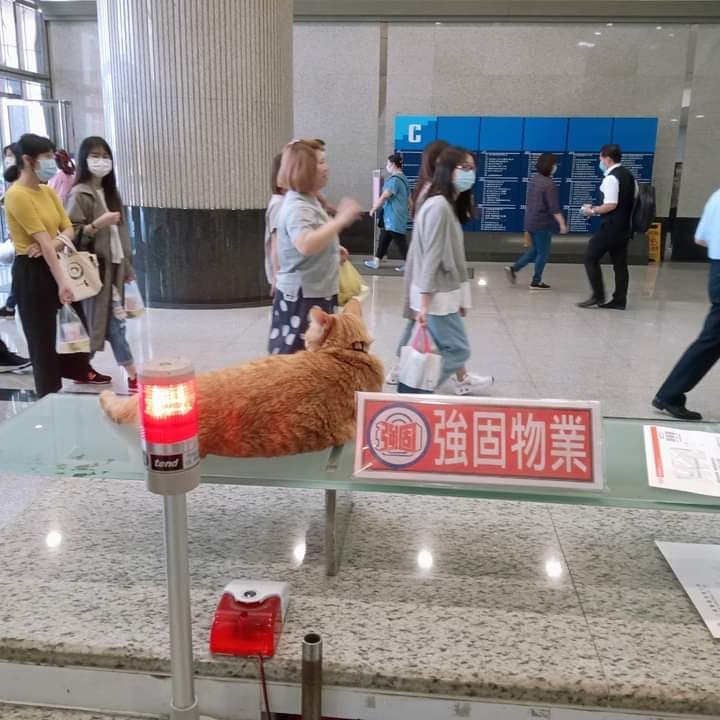 網友Elvira Chang小姐提供