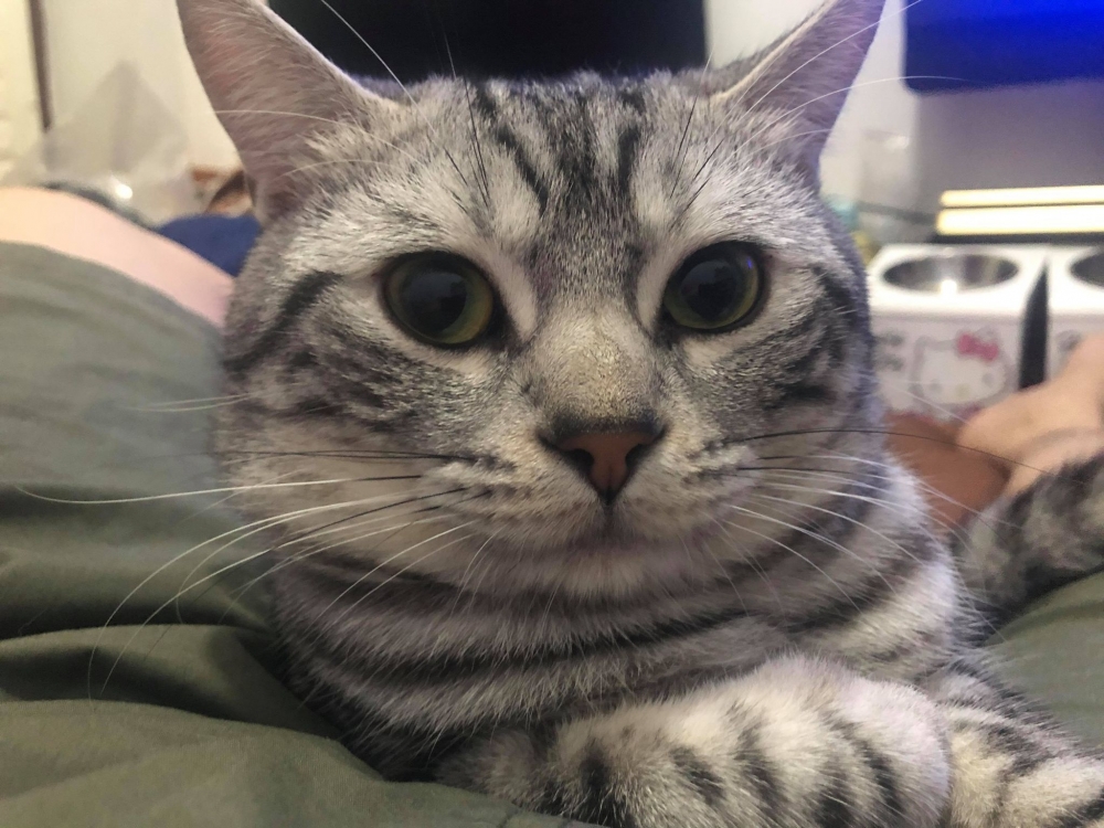 網友王耀偉先生提供