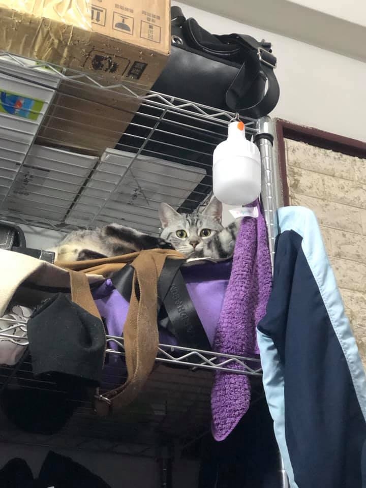 網友王耀偉先生提供