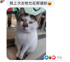 螢幕快照 2021-04-09 下午3.40.39