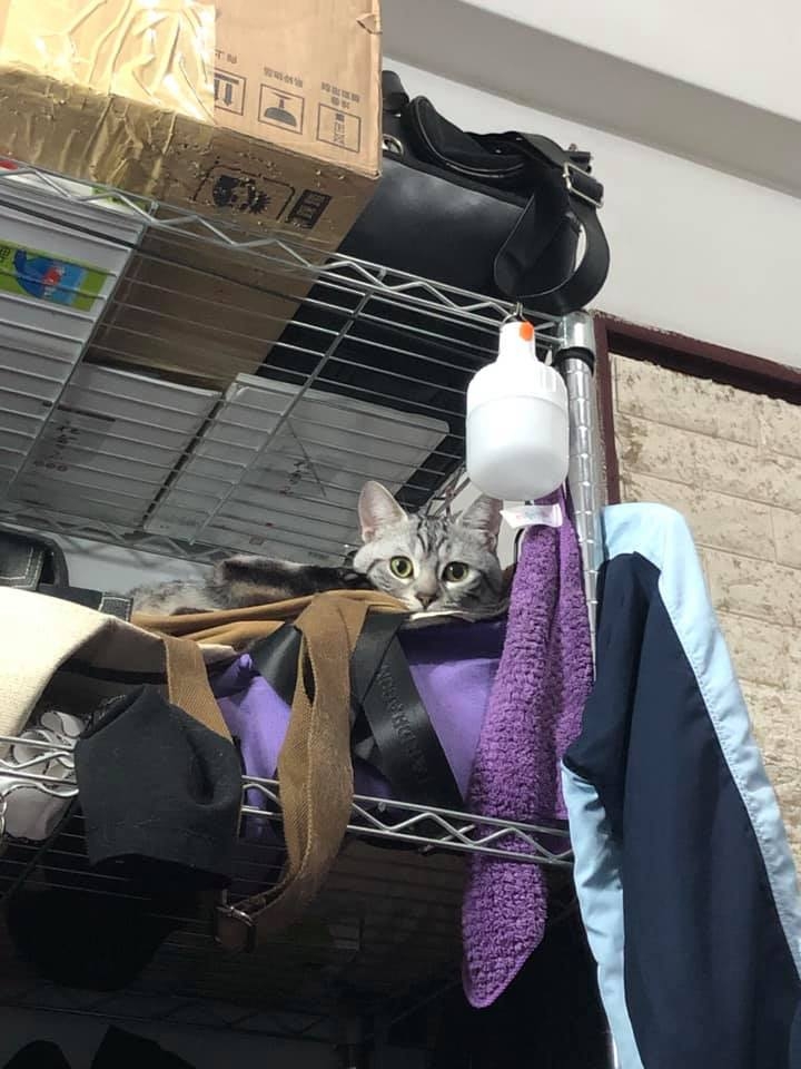 網友王耀偉先生提供