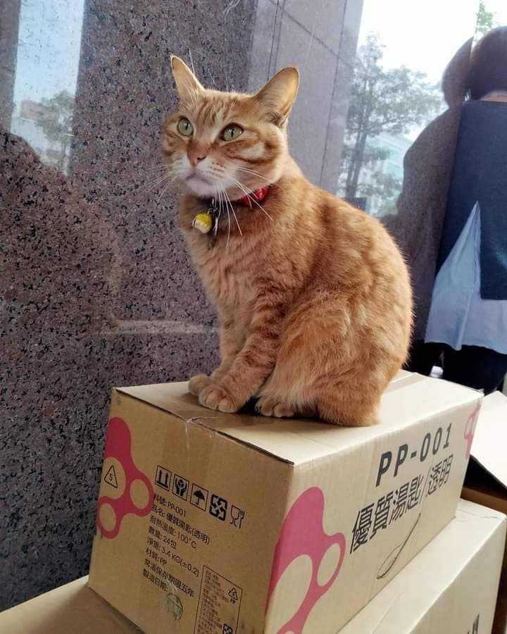 網友Elvira Chang小姐提供