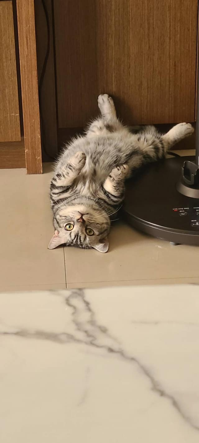 網友許瑜芯小姐提供