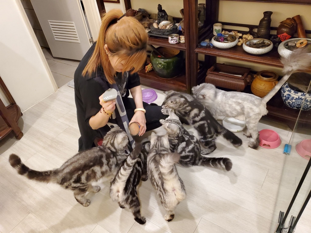 網友謝學廣先生提供