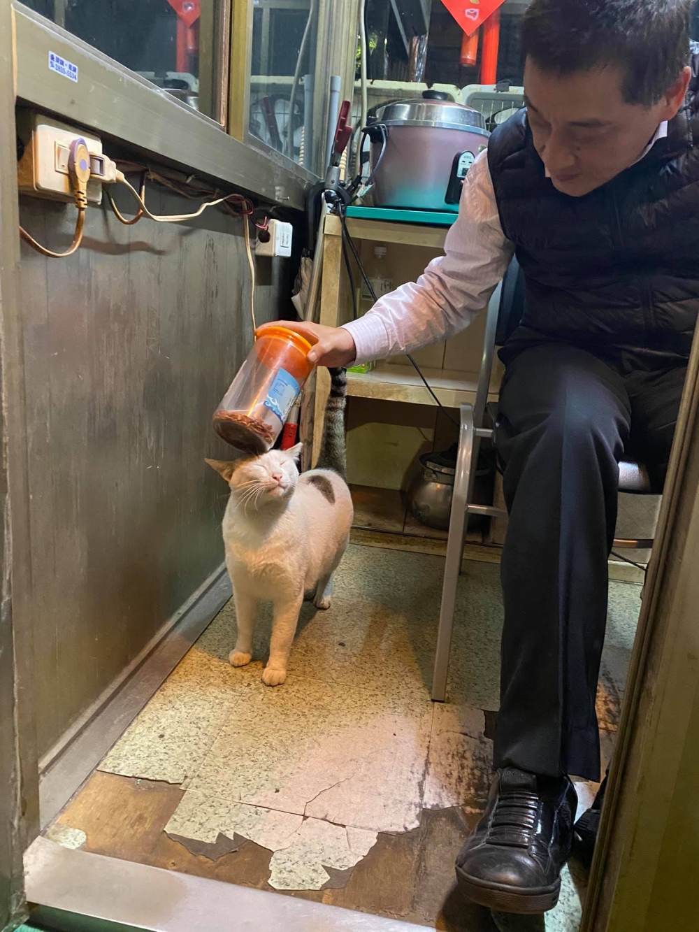 網友pan pan授權提供