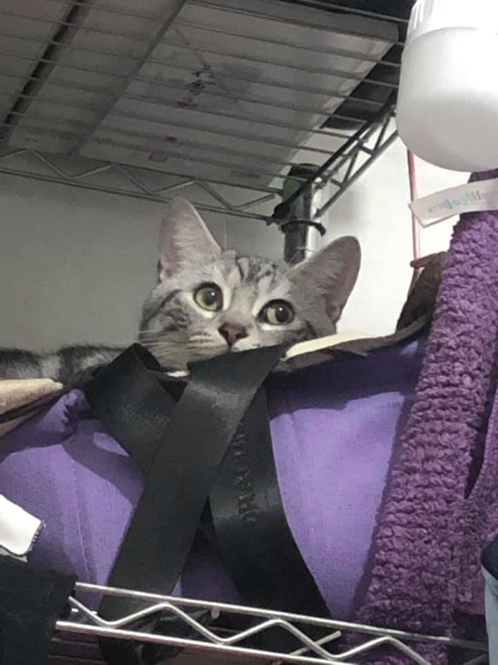 網友王耀偉先生提供