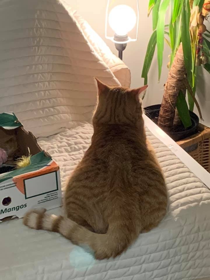 網友Kate Wan-jing Lee提供