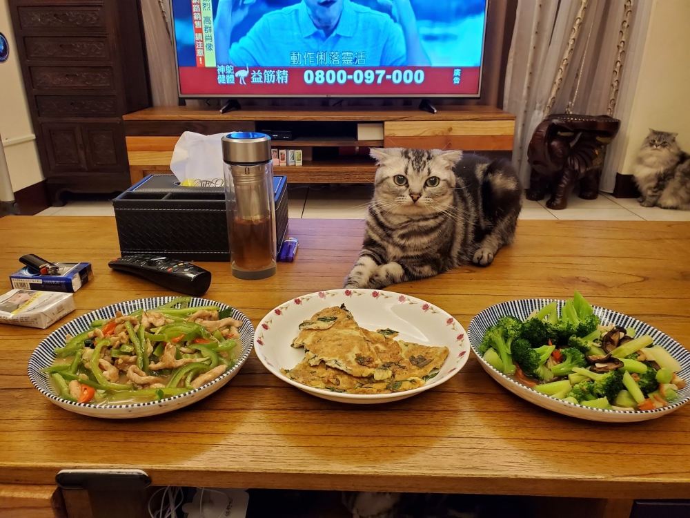 網友謝學廣先生提供